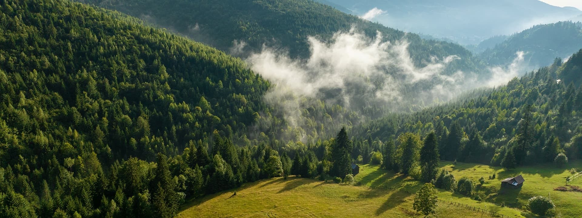 Moldovita, Suceava County